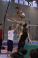 /album/collegiale-federazione-2014/a10841112-666789596763819-1753826439-n-jpg1/