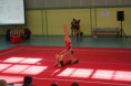 /album/galleria-foto-foto1/img-9474-jpg1/